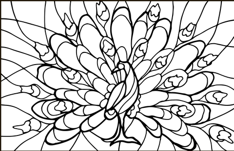 Peacock Stained Glass Coloring Page